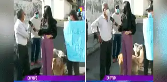Perrito callejero olfatea y orina en reportera durante transmisión en vivo: “Dejó huella” Perrito callejero olfatea y orina en reportera durante transmisión en vivo: “Dejó huella”