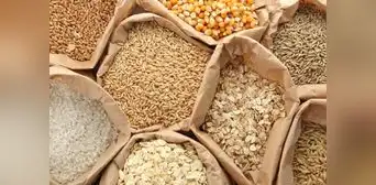 FAO: precio de alimentos sube por segunda vez en el año tras fin del acuerdo de granos