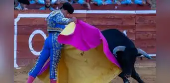 Andrés Roca Rey, torero peruano, queda herido tras sufrir nueva cornada en España Andrés Roca Rey, torero peruano, queda herido tras sufrir nueva cornada en España