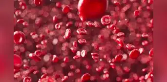 ¿Cómo saber mi tipo de sangre y qué significa cada grupo sanguíneo?