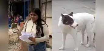VES: denuncian que la dueña de un perro que atacó a niño de 6 años no se hace cargo de gastos médicos