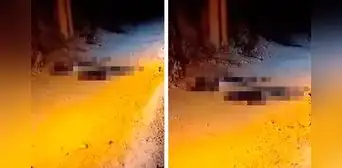 Dos hombres son asesinados cuando reclamaban su sueldo en La Libertad