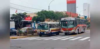 ¿Cuáles son las combis y cústeres que ya no circularán por las avenidas Brasil, La Marina ni Túpac Amaru?