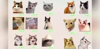 Día del Gato: ¿cómo descargar los mejores stickers para enviar a tus amigos por WhatsApp? Día del Gato: ¿cómo descargar los mejores stickers para enviar a tus amigos por WhatsApp?