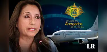 ¿Viaje de Dina Boluarte a Brasil sería causal de vacancia? Esto dijo el Colegio de Abogados de Arequipa