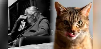 La historia de Clara Tobón, la anciana devorada por sus gatos en Madrid La historia de Clara Tobón, la anciana devorada por sus gatos en Madrid