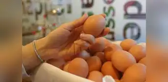 Avisur denuncia ingreso masivo de huevos de contrabando desde Ecuador y Bolivia Avisur denuncia ingreso masivo de huevos de contrabando desde Ecuador y Bolivia