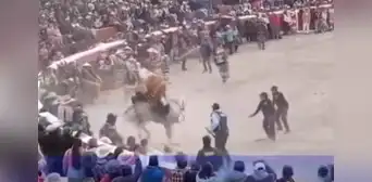 Jinete resulta herido tras caer de un caballo asustado en fiesta patronal en Ayacucho