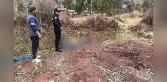 Cusco: toro embiste varias veces y mata a su dueño cuando lo pastoreaba Cusco: toro embiste varias veces y mata a su dueño cuando lo pastoreaba