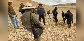 Cusco: cazadores usaron armas de fuego para matar a las vicuñas