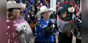 “Les deseo 500 hijos”: decenas de cuyes se unen en matrimonio en festival de Chota