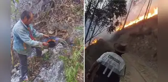 Apurímac: reportan 3 días de incendio forestal que consume flora y fauna en Lambrama Apurímac: reportan 3 días de incendio forestal que consume flora y fauna en Lambrama