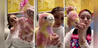 Karol Sevilla recibe regalos de fans peruanos y sorprende al confundir una alpaca con un caballo Karol Sevilla recibe regalos de fans peruanos y sorprende al confundir una alpaca con un caballo
