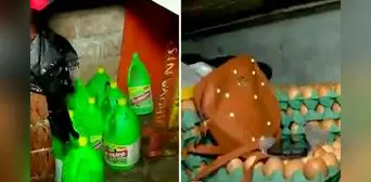 ¡Entre plumas y químicos! Operativo en mercados encontró puestos de venta insalubres en Ventanilla ¡Entre plumas y químicos! Operativo en mercados encontró puestos de venta insalubres en Ventanilla
