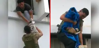 Callao: rescatan a 15 gatos durante incendio en vivienda de Bellavista Callao: rescatan a 15 gatos durante incendio en vivienda de Bellavista