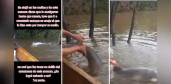 Loreto: profesor rescata a bufeo que se encontraba atrapado en el río Amazonas y enternece las redes Loreto: profesor rescata a bufeo que se encontraba atrapado en el río Amazonas y enternece las redes