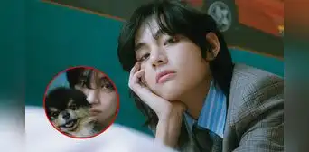 BTS: V causa suspiros en sus fans con las fotos promocionales de su álbum 'Layover' BTS: V causa suspiros en sus fans con las fotos promocionales de su álbum 'Layover'