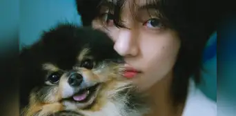 Taehyung, de BTS: ¿quién es Yeontan, el perro que inspiró el primer álbum de V como solista? Taehyung, de BTS: ¿quién es Yeontan, el perro que inspiró el primer álbum de V como solista?