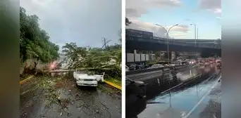 Lluvias en Caracas HOY: fuertes vientos provocan caídas de árboles en la capital de Venezuela Lluvias en Caracas HOY: fuertes vientos provocan caídas de árboles en la capital de Venezuela