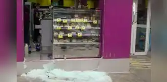 Breña: delincuentes roban gran cantidad de licores en tienda Tambo Breña: delincuentes roban gran cantidad de licores en tienda Tambo