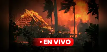 Incendios en Hawaii, últimas noticias: ascienden a 99 los fallecidos por catástrofe forestal