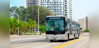 ¡Desde Matellini hasta Castilla! La ruta C del Metropolitano vuelve a operar desde este 14 de agosto