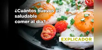¿Cuántos huevos es saludable comer al día? La ciencia responde ¿Cuántos huevos es saludable comer al día? La ciencia responde