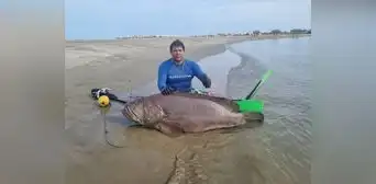 ¡Qué tal récord!: pescan mero de 195 kilos en mar de Tumbes ¡Qué tal récord!: pescan mero de 195 kilos en mar de Tumbes