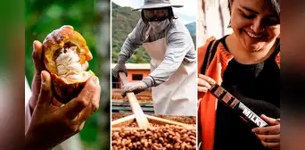 ¿Dónde nacen los chocolates más deliciosos del Perú? ¿Dónde nacen los chocolates más deliciosos del Perú?
