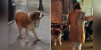 "¡Miren cómo lo jala!": perrito 'obliga' a su dueño a ir a un bar mientras estaban de paseo