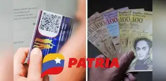 Bonos de la Patria: estos son los 4 subsidios que llegarán del 14 al 19 de agosto