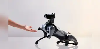 Xiaomi muestra su CyberDog 2: el robot que parece un dóberman entrenado por IA y realiza trucos Xiaomi muestra su CyberDog 2: el robot que parece un dóberman entrenado por IA y realiza trucos
