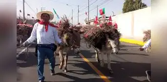 Entrada de ccapo en Arequipa: danzarines, cantantes de copla y carros alegóricos participaron Entrada de ccapo en Arequipa: danzarines, cantantes de copla y carros alegóricos participaron