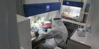 Variante eris del COVID-19 llegaría al Perú la próxima semana, asegura Instituto Nacional de Salud
