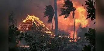 Catástrofe forestal en Hawaii: ayuda humanitaria llega a las ciudades afectadas tras incendios