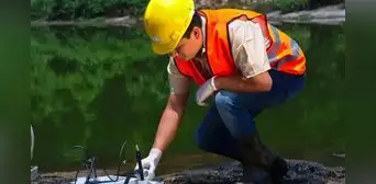 ¿Qué significa "in situ" y cuándo se utiliza? ¿Qué significa "in situ" y cuándo se utiliza?