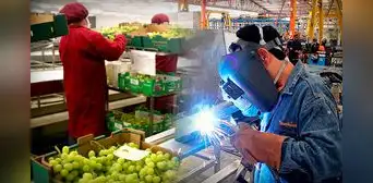 Se incrementó en 2,3% la cantidad de empresas exportadoras a junio de 2023 Se incrementó en 2,3% la cantidad de empresas exportadoras a junio de 2023