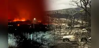 Incendios en Hawái se habrían originado por caída de cables eléctricos: ya son 106 los muertos