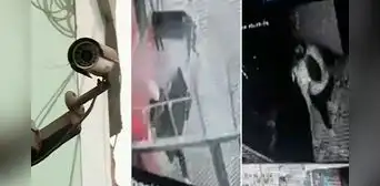 SJL: cámaras de seguridad captaron el robo de S/15.000 en artefactos de una vivienda