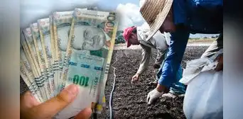 Fertiabono 2: beneficiarios podrán cobrar el subsidio hasta el jueves 31 de agosto