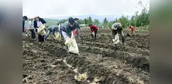 Ministerio de Desarrollo Agrario y Riego ha gastado menos del 50% de su presupuesto pese a crisis Ministerio de Desarrollo Agrario y Riego ha gastado menos del 50% de su presupuesto pese a crisis