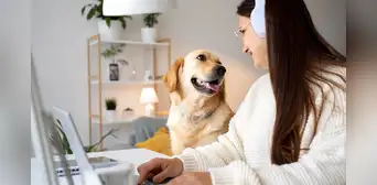 ¿Qué le falta a la IA para hablar con los animales? Esto dicen expertos