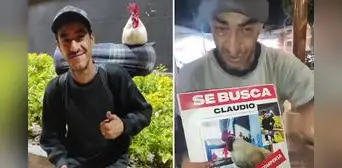 ¡Su fiel compañero! Extranjero ofrece recompensa por su gallito Claudio que fue robado en Ica