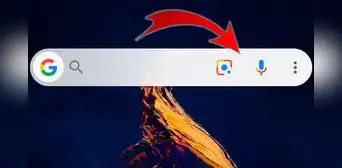 ¿Para qué sirve la cámara y el micrófono de la barra de búsqueda de tu teléfono? ¿Para qué sirve la cámara y el micrófono de la barra de búsqueda de tu teléfono?