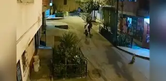 Ate: sujeto agrede violentamente a perro que se acercó a olfatearlo