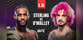 Aljamain Sterling vs. Sean O'Malley: ¿a qué hora será la pelea estelar por la UFC 292?