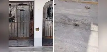 Chorrillos: vecinos consternados tras detonación de explosivo que dejaron en plena pista Chorrillos: vecinos consternados tras detonación de explosivo que dejaron en plena pista
