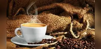 Día del Café Peruano: Devida ofrecerá gratis 10.000 vasos de esta bebida el próximo fin de semana