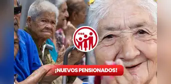 IVSS septiembre 2023: ¿eres uno de los nuevos pensionados? Consulta AQUÍ
