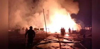 Chorrillos: más de 20 cerditos murieron calcinados tras incendio en granja informal